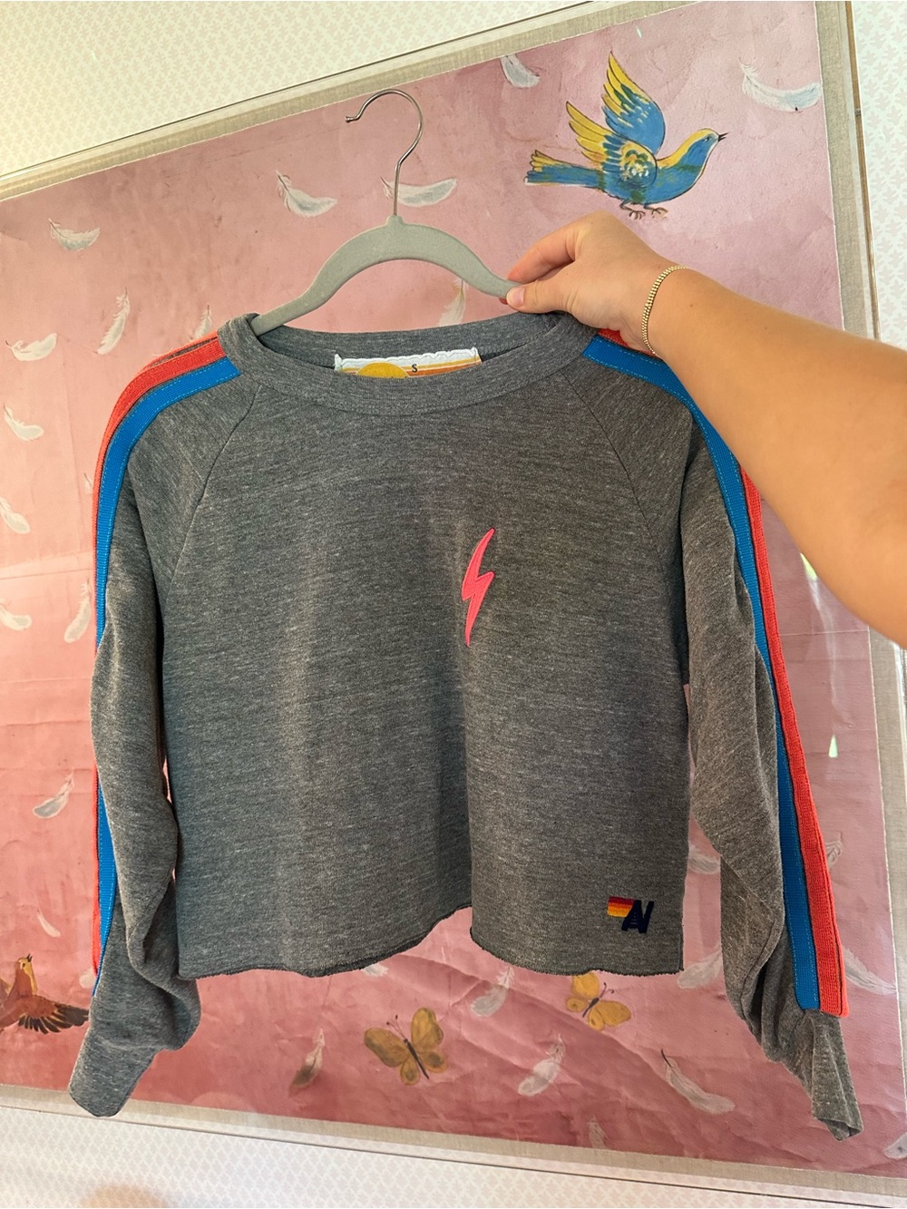 Aviator Nation Sweatshirt